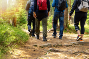 „Dem Leben entgegengehen“ – eine Wanderung für Trauernde